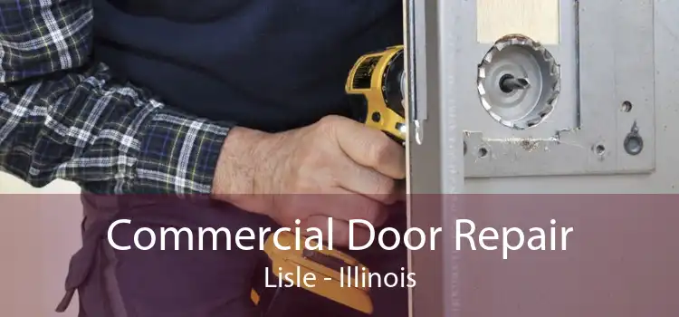 Commercial Door Repair Lisle - Illinois