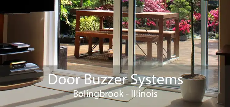 Door Buzzer Systems Bolingbrook - Illinois