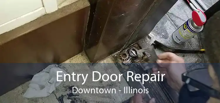 Entry Door Repair Downtown - Illinois