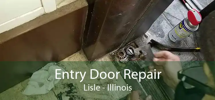 Entry Door Repair Lisle - Illinois