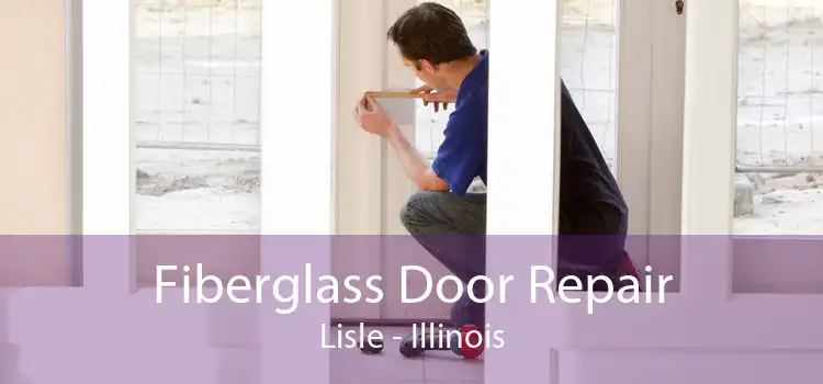 Fiberglass Door Repair Lisle - Illinois