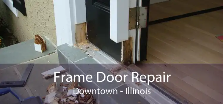 Frame Door Repair Downtown - Illinois