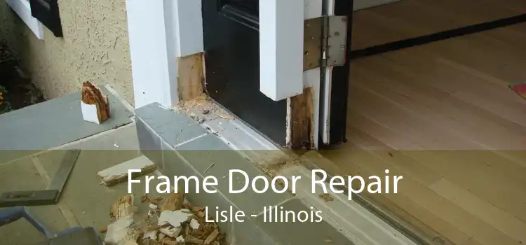 Frame Door Repair Lisle - Illinois