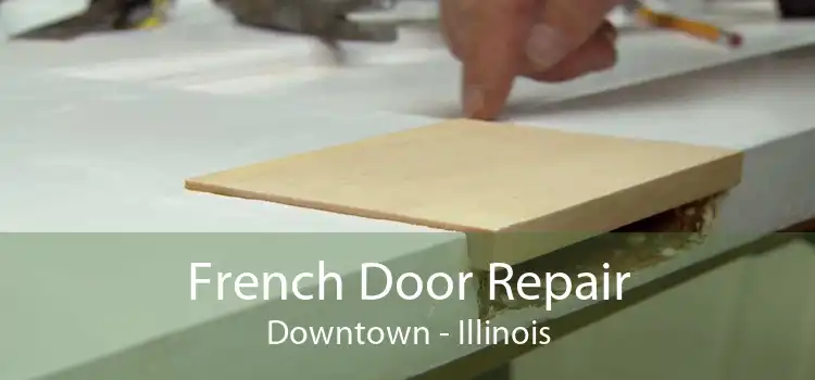 French Door Repair Downtown - Illinois