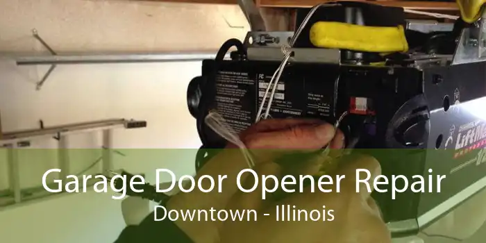 Garage Door Opener Repair Downtown - Illinois