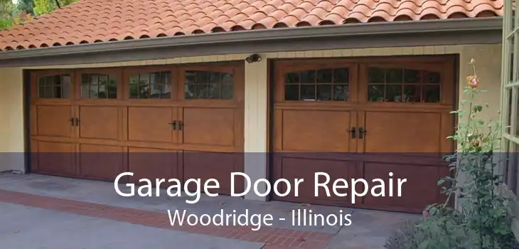 Garage Door Repair Woodridge - Illinois