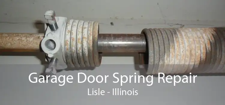 Garage Door Spring Repair Lisle - Illinois