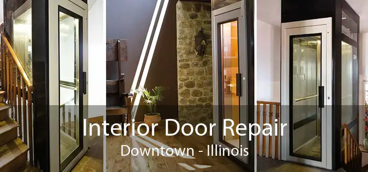 Interior Door Repair Downtown - Illinois