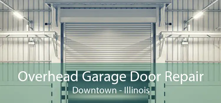 Overhead Garage Door Repair Downtown - Illinois