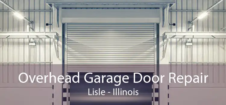 Overhead Garage Door Repair Lisle - Illinois