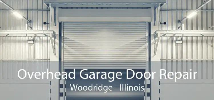 Overhead Garage Door Repair Woodridge - Illinois