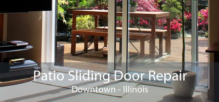 Patio Sliding Door Repair Downtown - Illinois