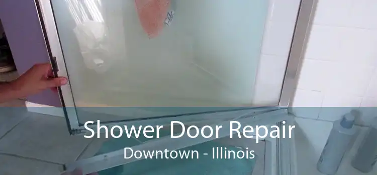 Shower Door Repair Downtown - Illinois