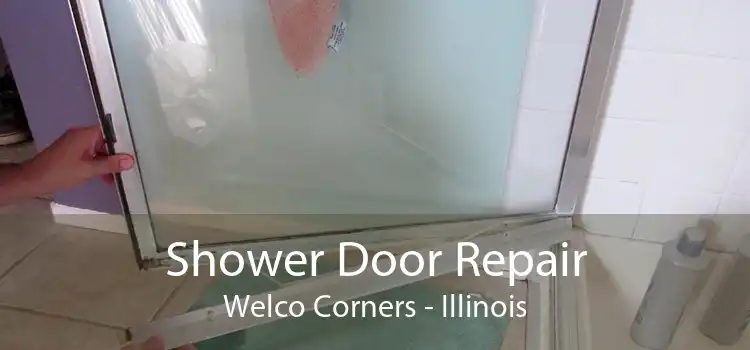 Shower Door Repair Welco Corners - Illinois