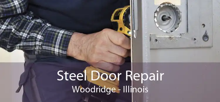 Steel Door Repair Woodridge - Illinois