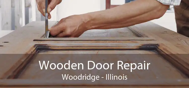 Wooden Door Repair Woodridge - Illinois